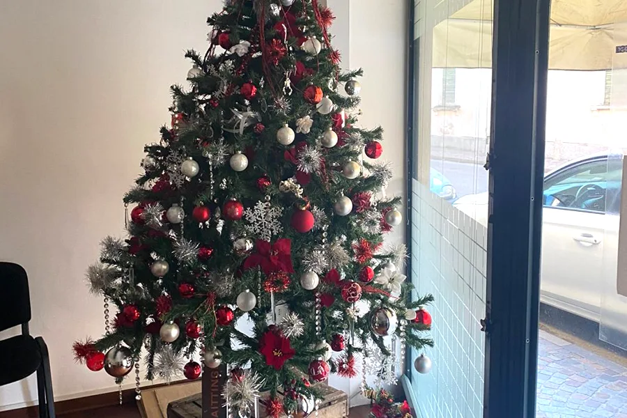 SESA SPA – SESA Este – SESA Este SPA racconta dell’albero di Natale addobbato con il concetto del riuso delle decorazioni